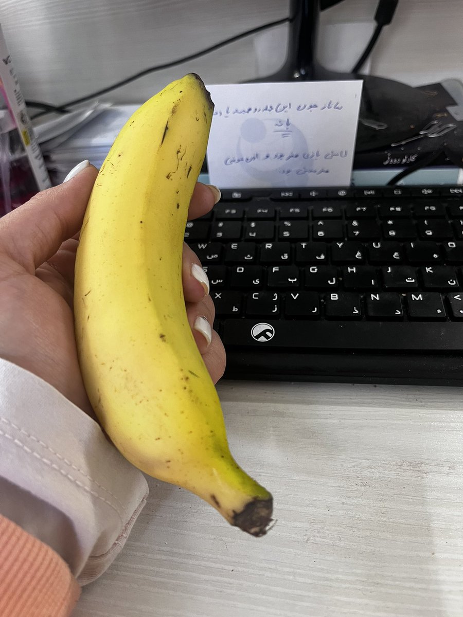 سـونــــــــــــــاز 🇮🇷 tweet media