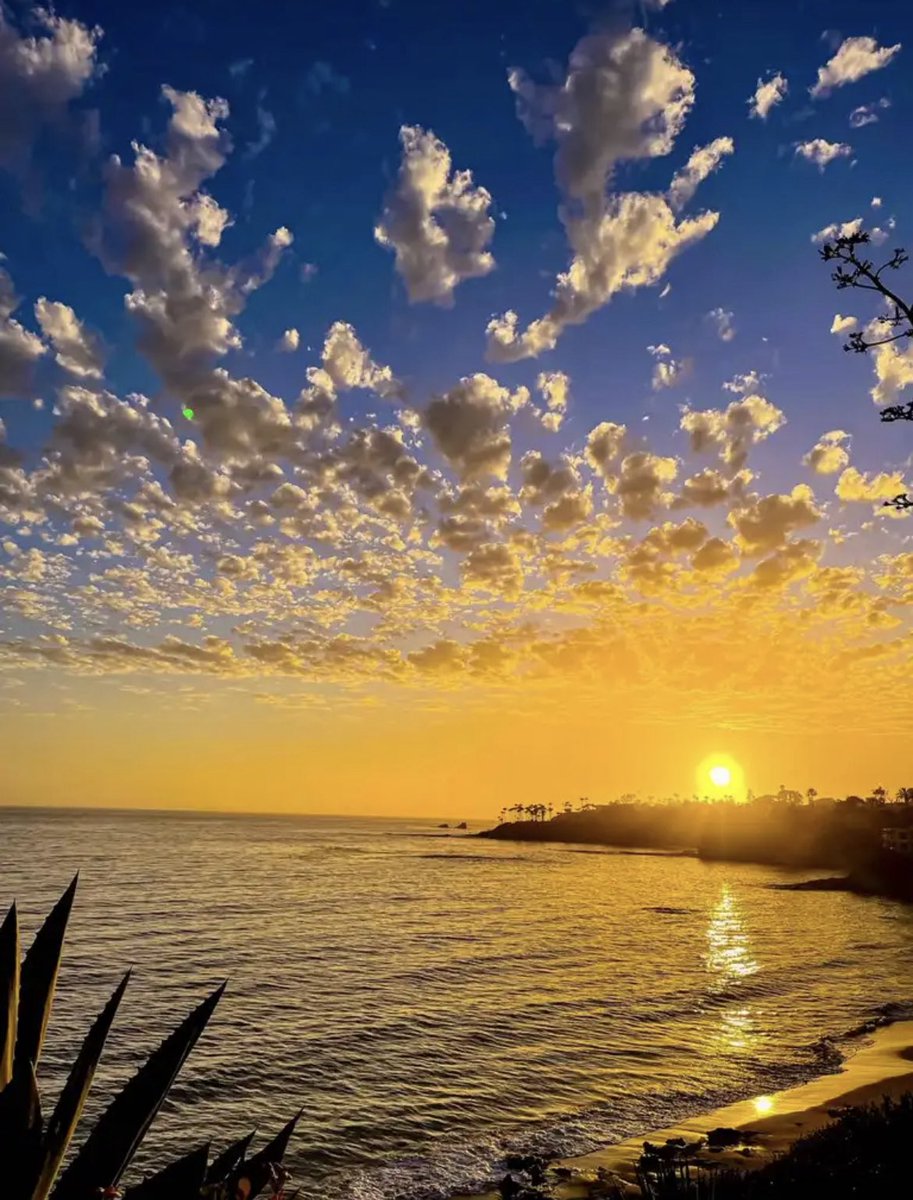 Now that’s a sunset! Tonight was amazing ☀️