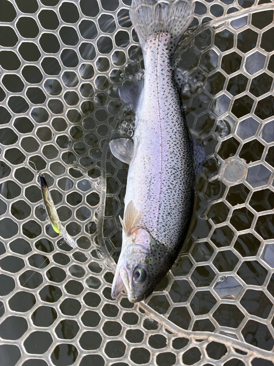 Re_Cyek's tweet photo. 今日は新年初釣りで弁天閣へ！なんとか赤身も釣れて満足！赤身の写真は撮り忘れたけどね。新年一発目から幸先良し！これからも期待ですな！ https://t.co/xUBT7crDDO
