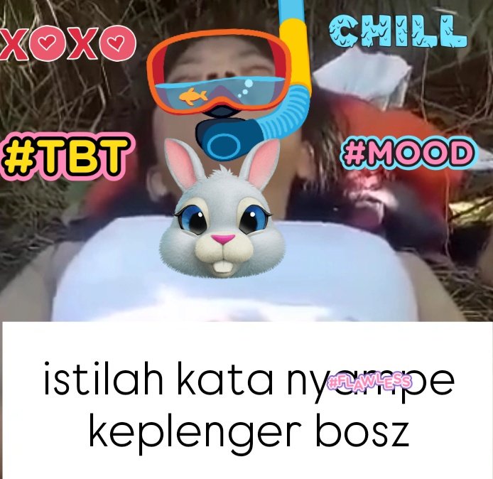 BizarreQuinn's tweet image. cdn.videyco.blog/gIY1.mp4

cdn.videy.co/rjuq1Ylh1.mp4

cdn.videy.co/tRBMPSkv1.mp4

cdn.videy.co/HZHhNSXY1.mp4