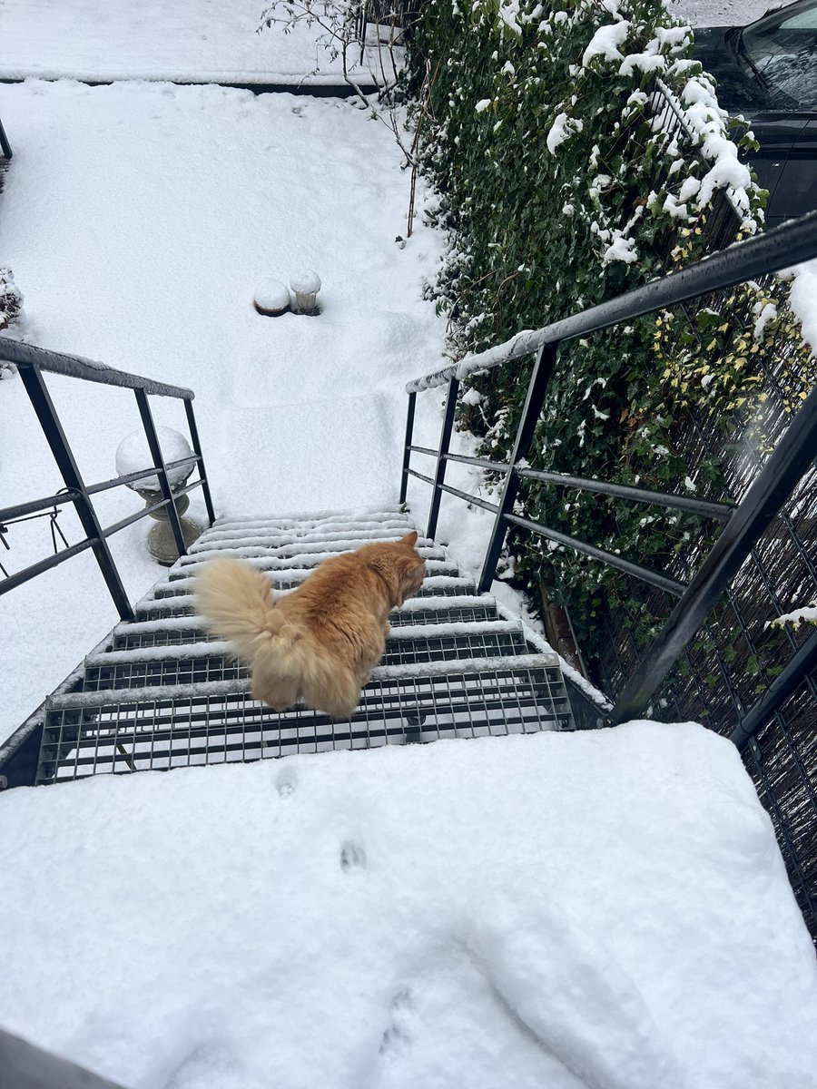 Ebru Umar tweet media