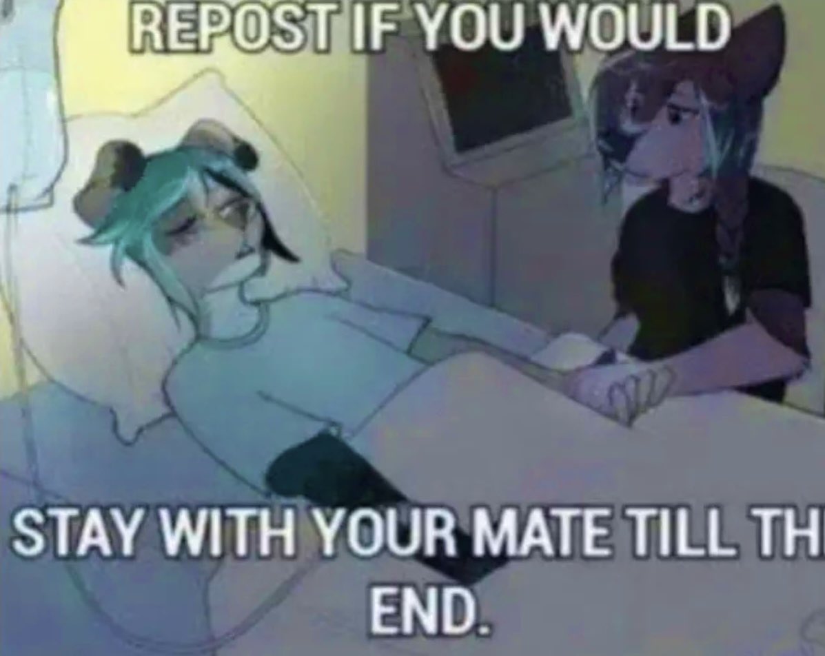 cloudpuppy554's tweet image. 😢