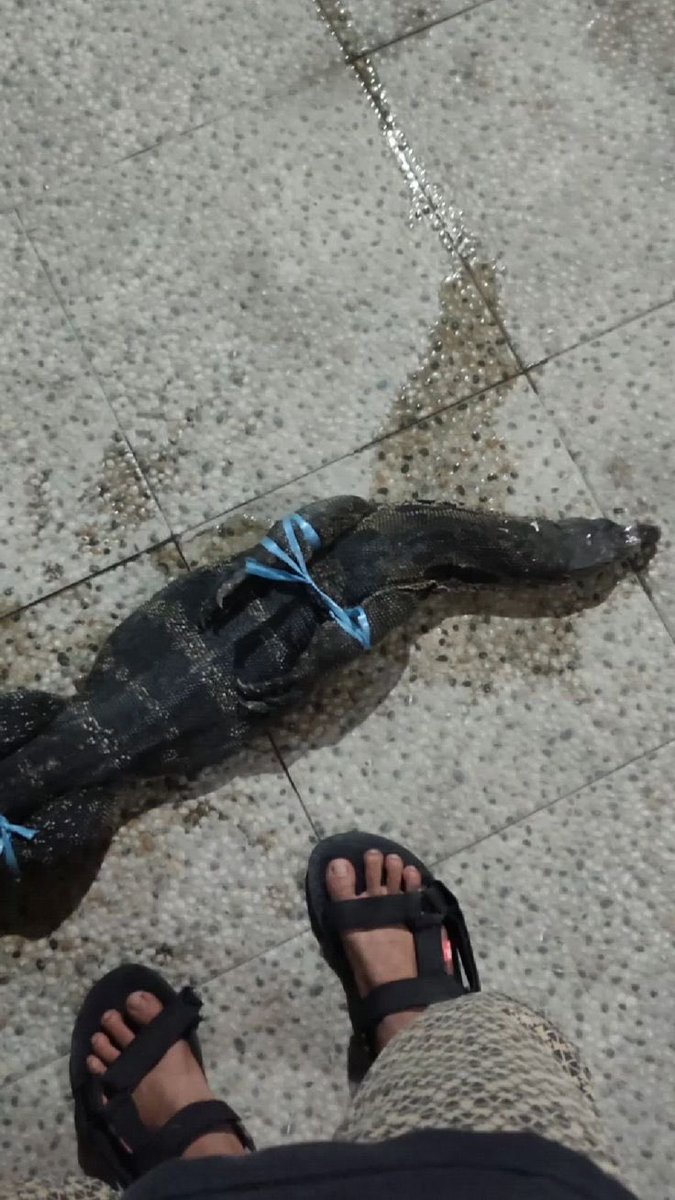 ajuyracing's tweet image. branding matters