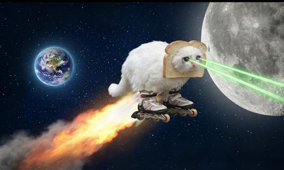 cry kitty rollerblade toasted lazereyes tweet media