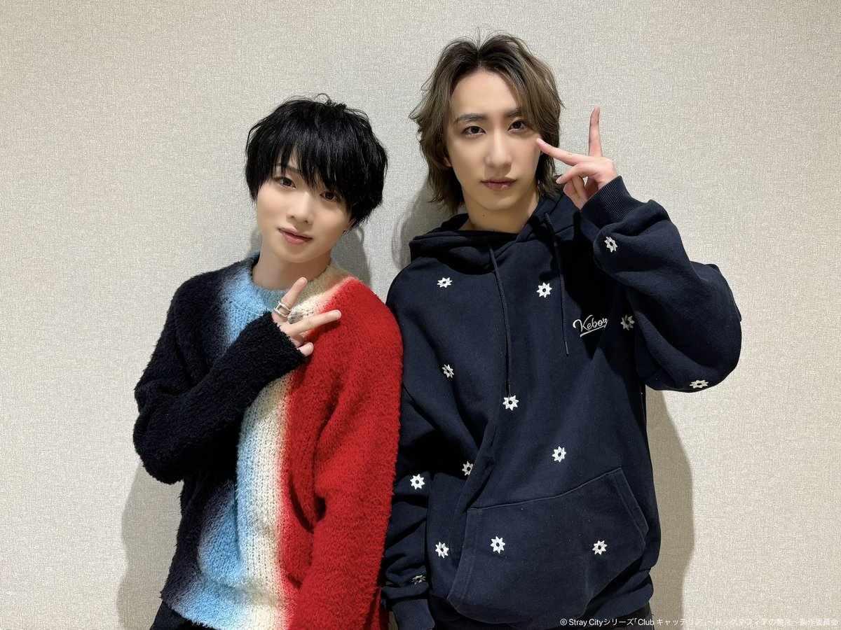 Sparkle vol.58』【MEDIABOY SHOP限定特典：植田圭輔×溝口琢矢ポスト... 植田圭輔 ポメ キャッテリア スクエアブロマイド