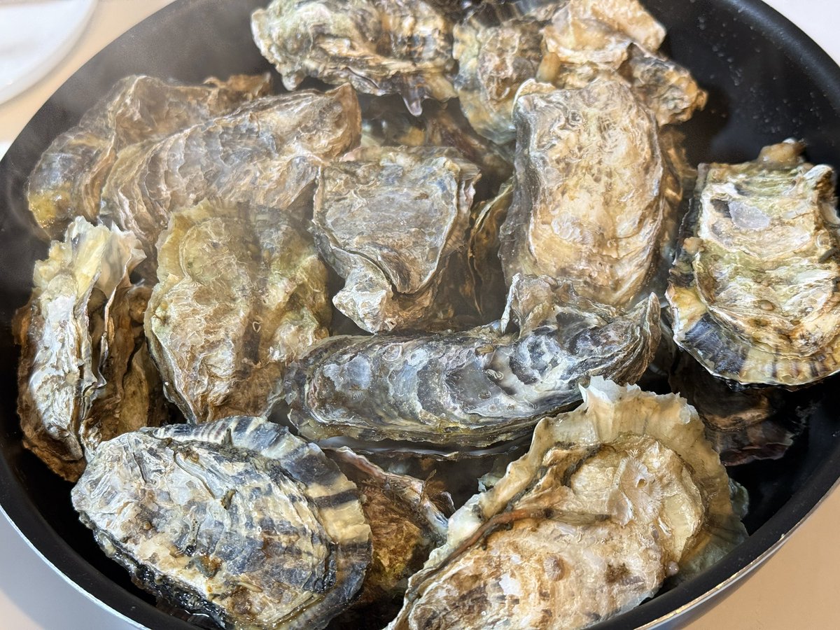 水月(みづき) tweet media