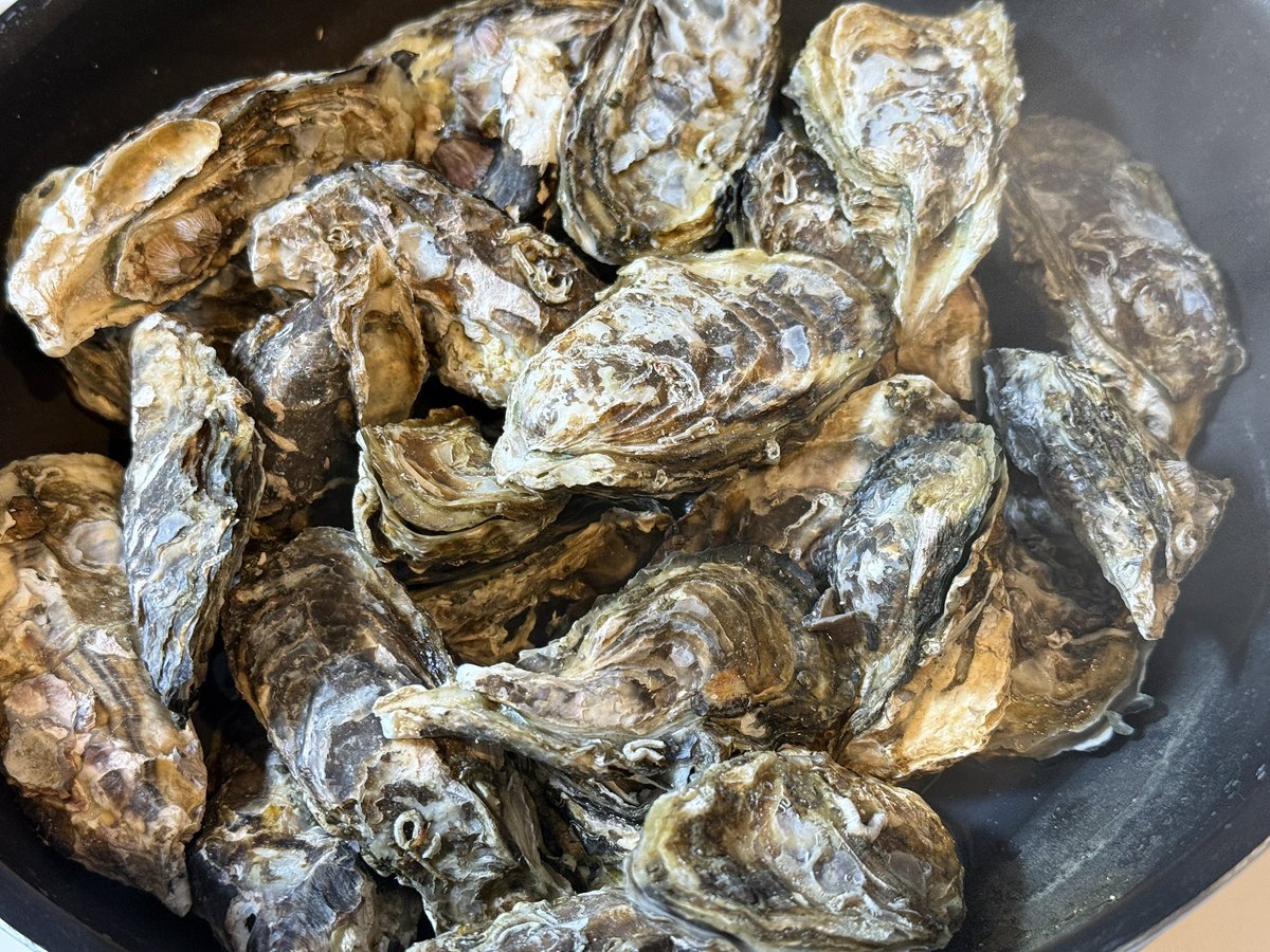 水月(みづき) tweet media