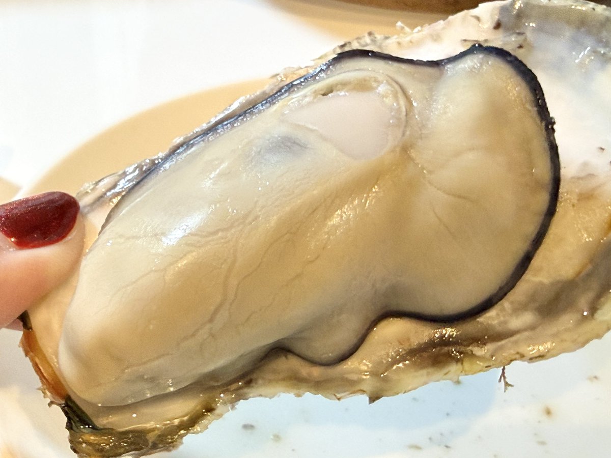 水月(みづき) tweet media