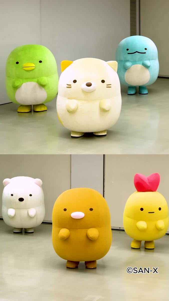 すみっコぐらし【公式】 (@sumikko_335) / Posts / X