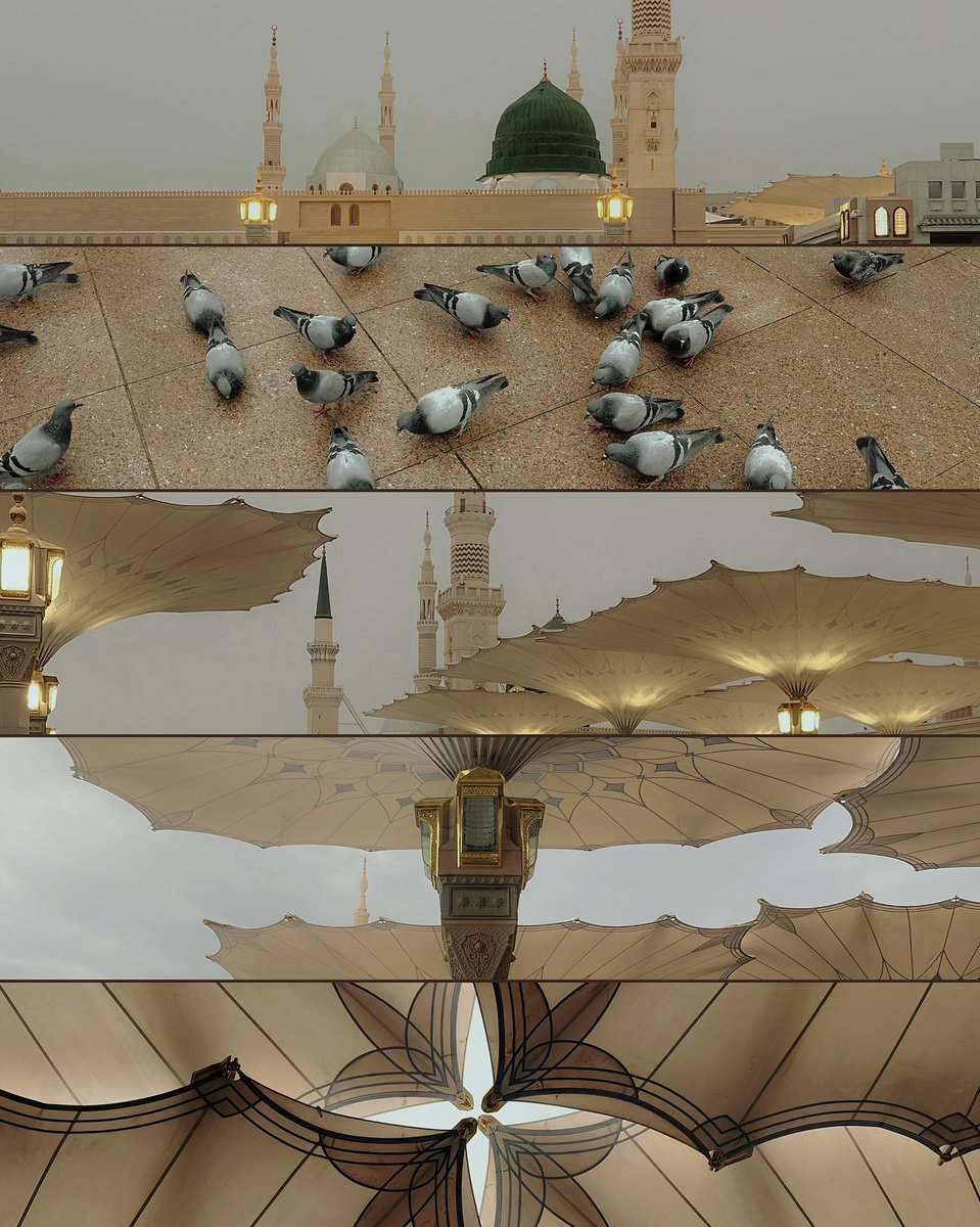 shxi3i's tweet photo. Madinah 🤍 https://t.co/SIYJqhveM7