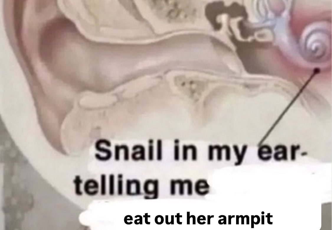 bugmode's tweet image. 