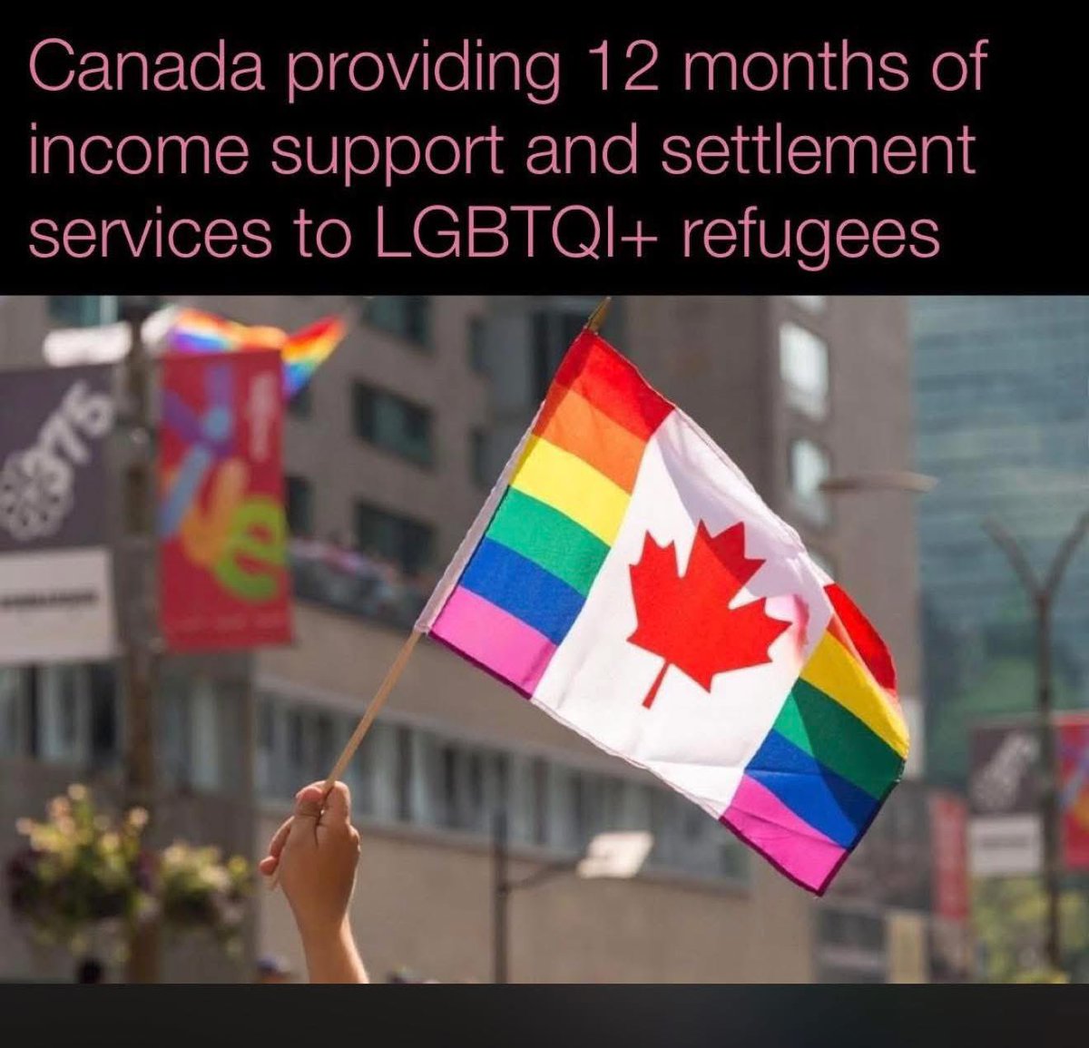 TransgenderMentor tweet media