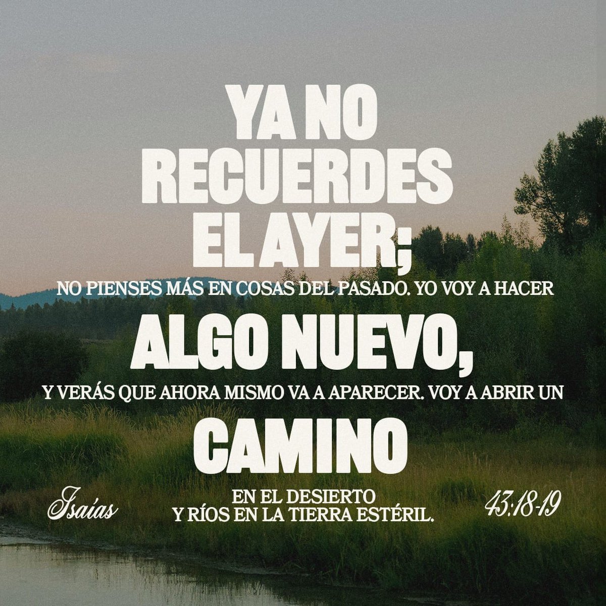 donmartuit's tweet image. Buenos días comunidad, les comparto #NuestroPanDiario. 

Les deseo un feliz día lleno de bendiciones.