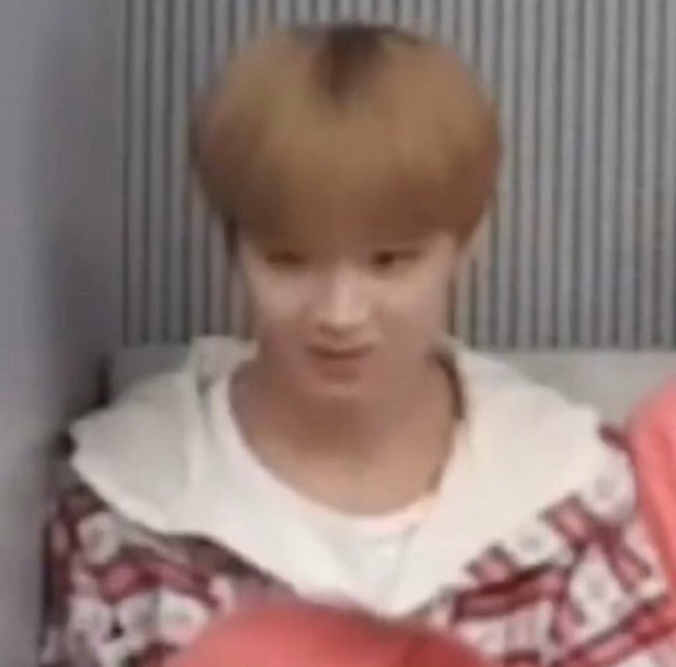 __haebear's tweet image. the roundest chocoball to ever exist