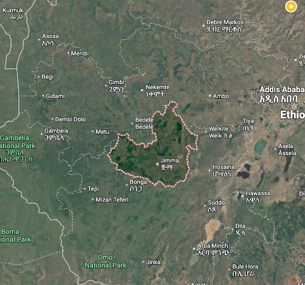 ⚡️Two ethnic Amhara civilians found hanged, eight disappeared, and dozens detained amid systematic abuses by Oromia security forces in Wala Kebele, Gera Woreda (📍Jimma Zone, Oromia Region, Ethiopia).

🔴 As of January 4th, Oromia Region security forces reportedly carried out