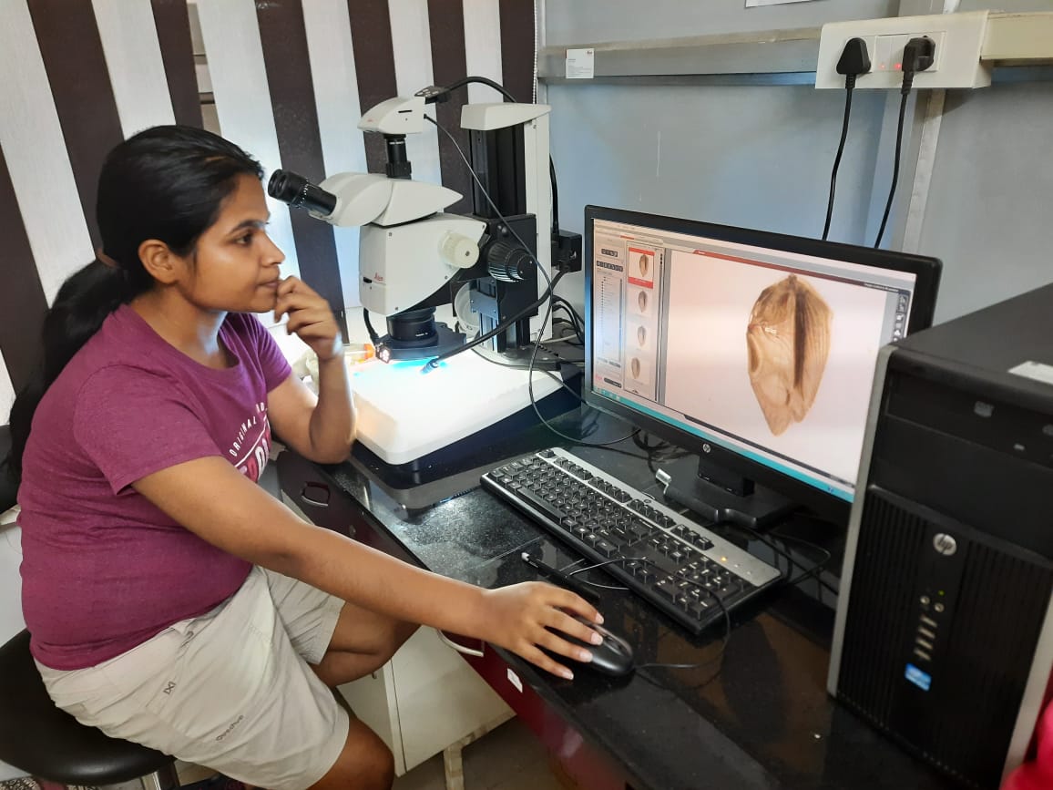 Manjari Jain tweet media