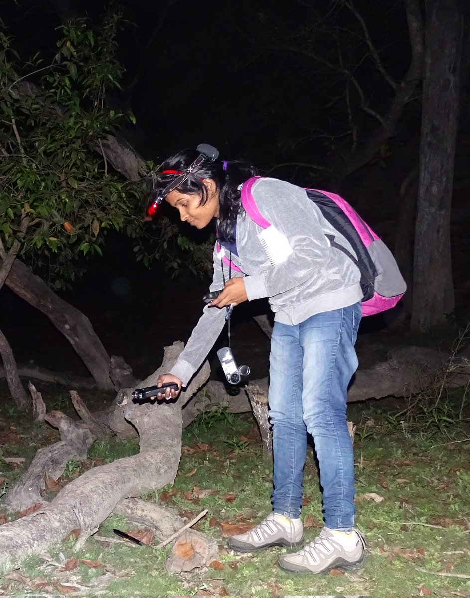 Manjari Jain tweet media