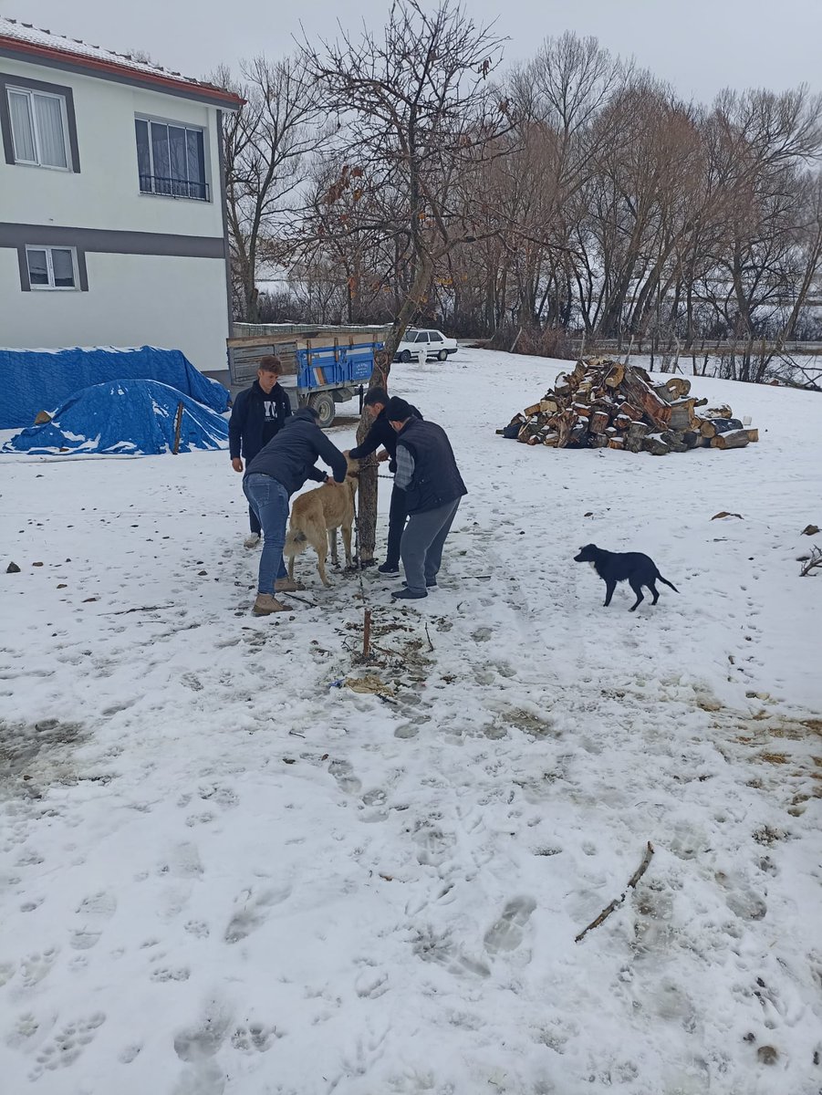 5199 sayılı Hayvanları Koruma Kanunu kapsamında, ilimiz genelinde 2025 yılı içerisinde;

🐈 2.217 kedi
🐕‍🦺 5.331 köpek
➡️ Toplam 7.548 sahipli hayvana mikroçip uygulaması yapılmıştır.

⚠️ UYARI:
Sahipli hayvanlarını sokağa terk eden veya başıboş dolaşmasına izin veren kişiler