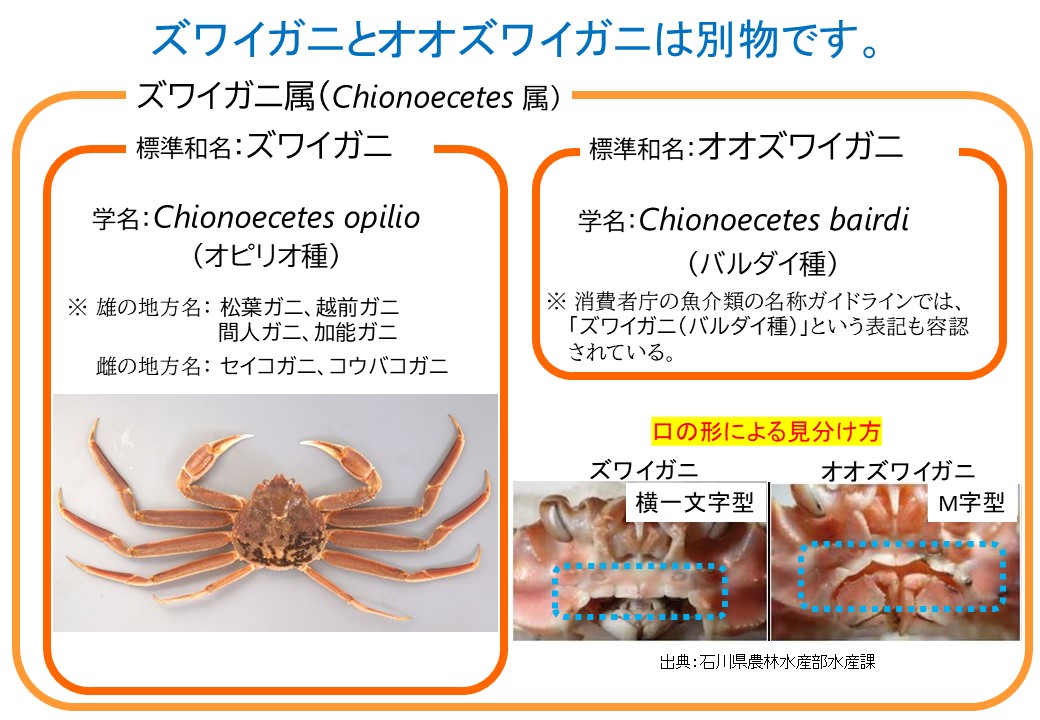 かにページ そうなのか！ 素人が判断するのは難しいね。