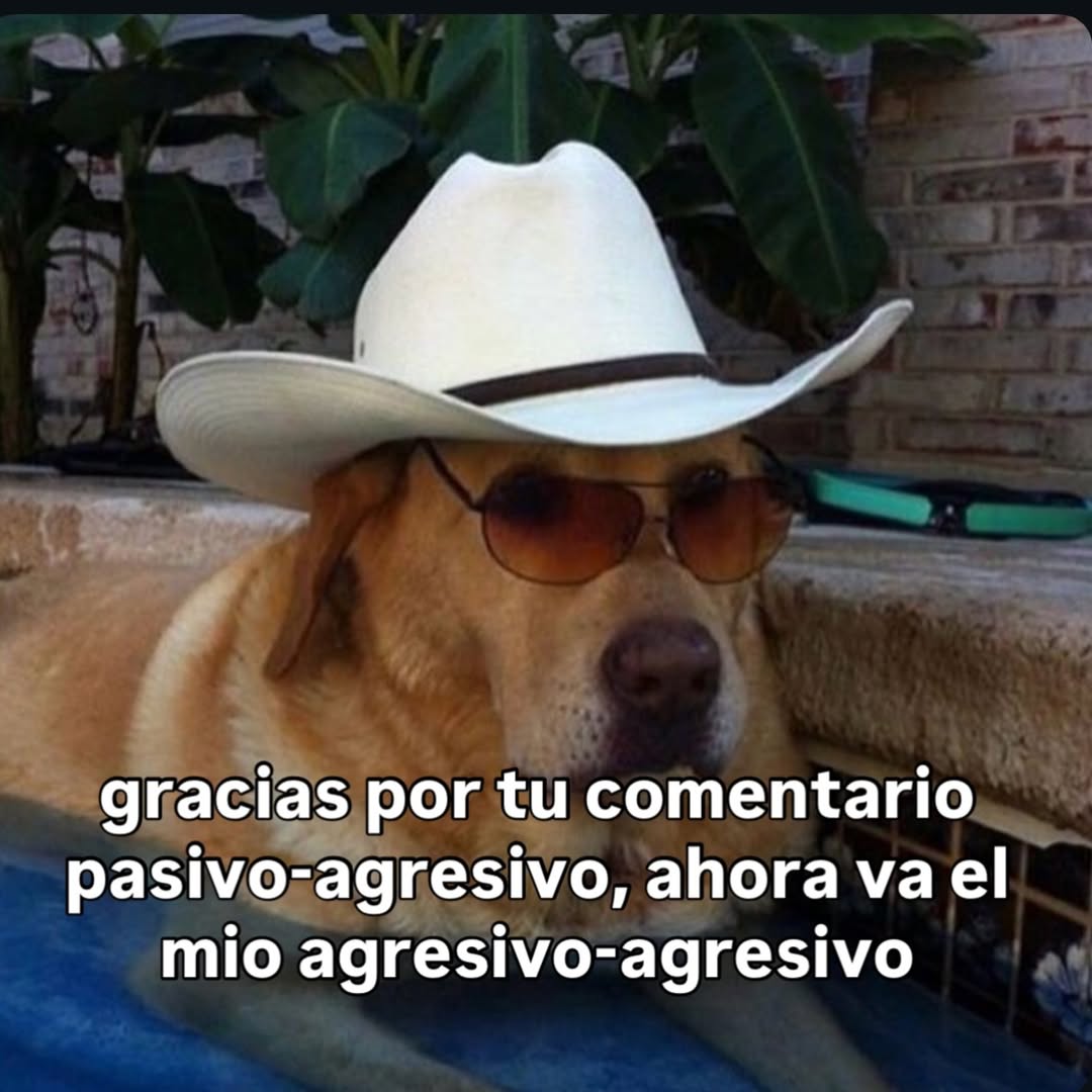 ojoscol0rsol's tweet image. 