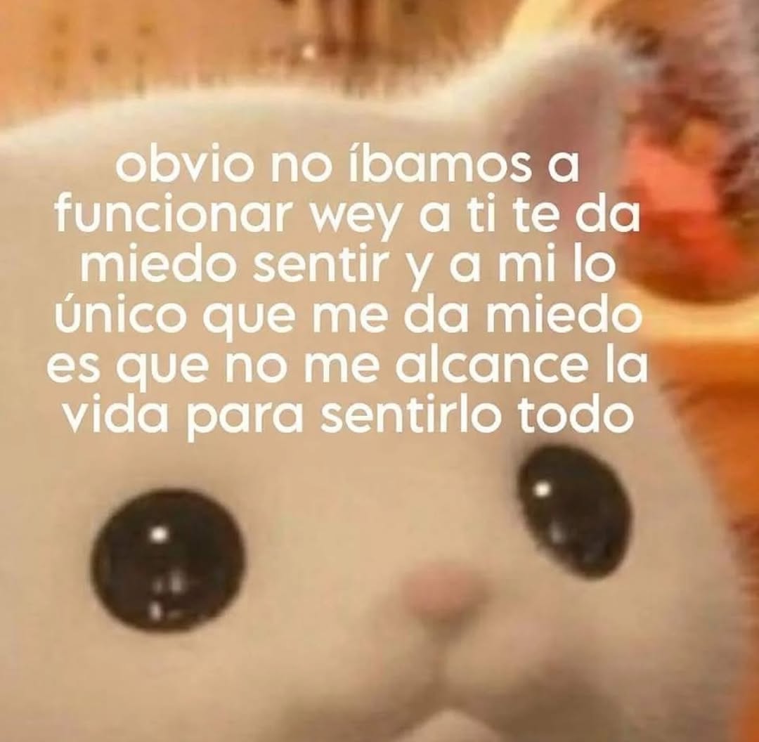 Ojos color sol (@ojoscol0rsol) on Twitter photo 