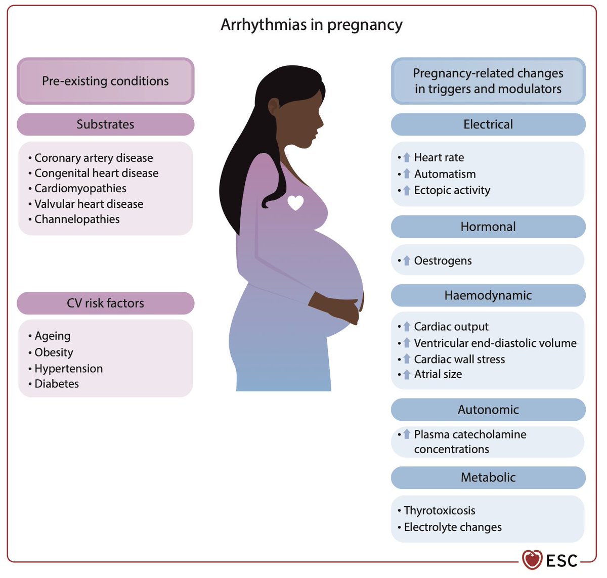 EHRAPresident tweet media