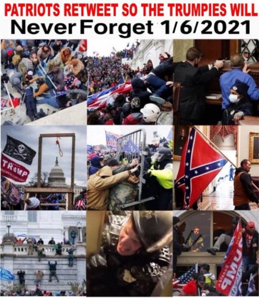 LePapillonBlu2's tweet image. NEVER FORGET #January6th