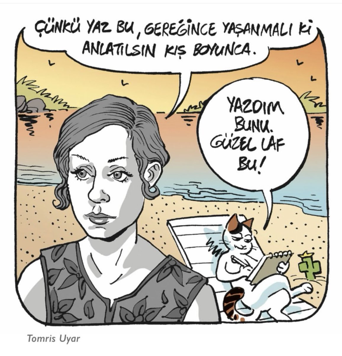 Sezen2028 tweet media