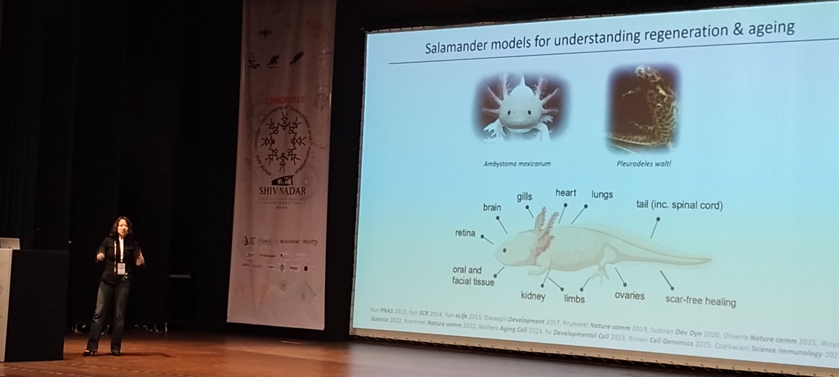 dls_snioe's tweet photo. #CMMDR26 has begun!✨
The Conference on Molecular Mechanisms in Development &amp; Regeneration (6–9 Jan), opened with remarks by Dr Sanjeev Galande and a great first talk by Dr Maximina Yun on salamander models of #regeneration &amp; aging.
Stay tuned!
#DevelopmentalBiology https://t.co/xsJhOXWPFV