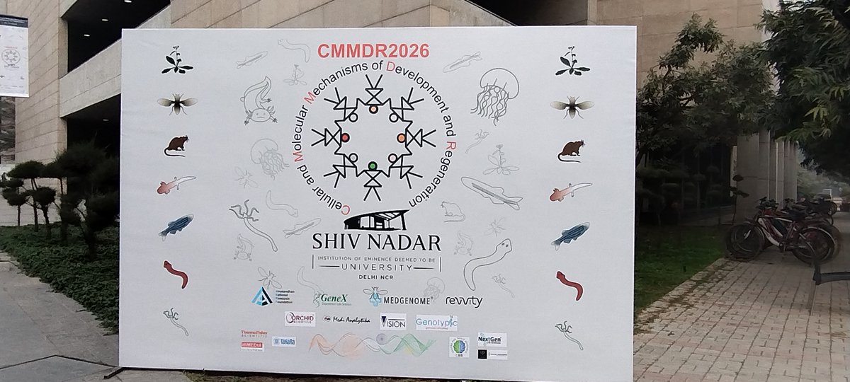 dls_snioe's tweet photo. #CMMDR26 has begun!✨
The Conference on Molecular Mechanisms in Development &amp; Regeneration (6–9 Jan), opened with remarks by Dr Sanjeev Galande and a great first talk by Dr Maximina Yun on salamander models of #regeneration &amp; aging.
Stay tuned!
#DevelopmentalBiology https://t.co/xsJhOXWPFV