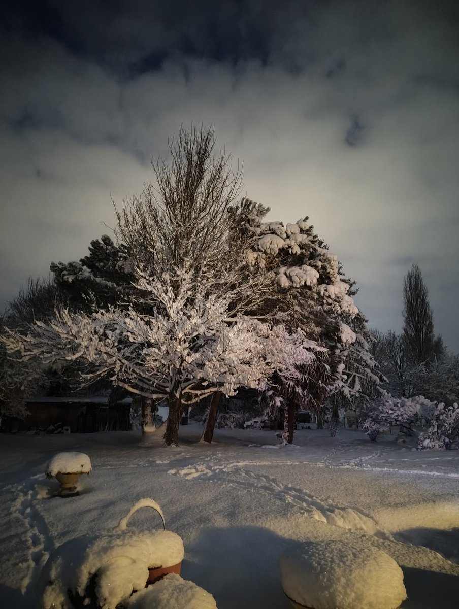 Fermeapicole's tweet photo. Sous la neige en Charente Maritime ❄️❄️ https://t.co/n5p9vGkv26