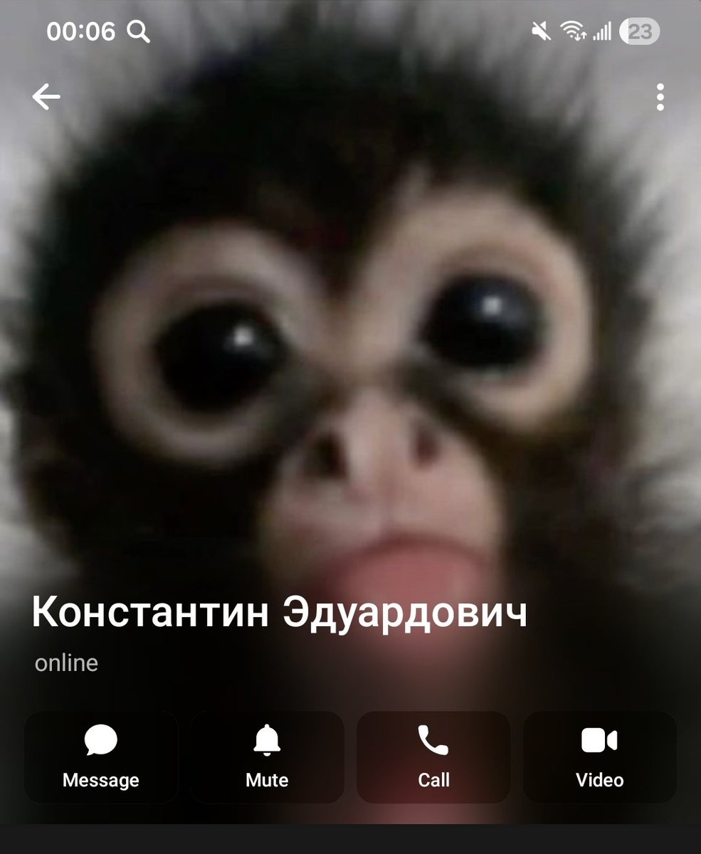 пипи пупу tweet media