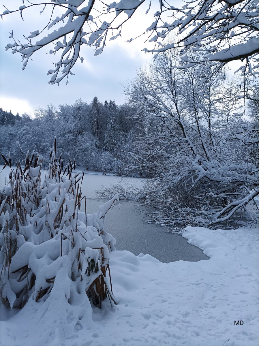 Martina Dvorská (@martinadvorsk2) on Twitter photo 