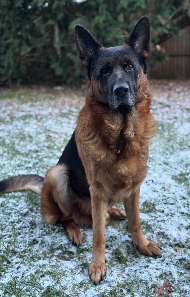 Joanna Cannon tweet media