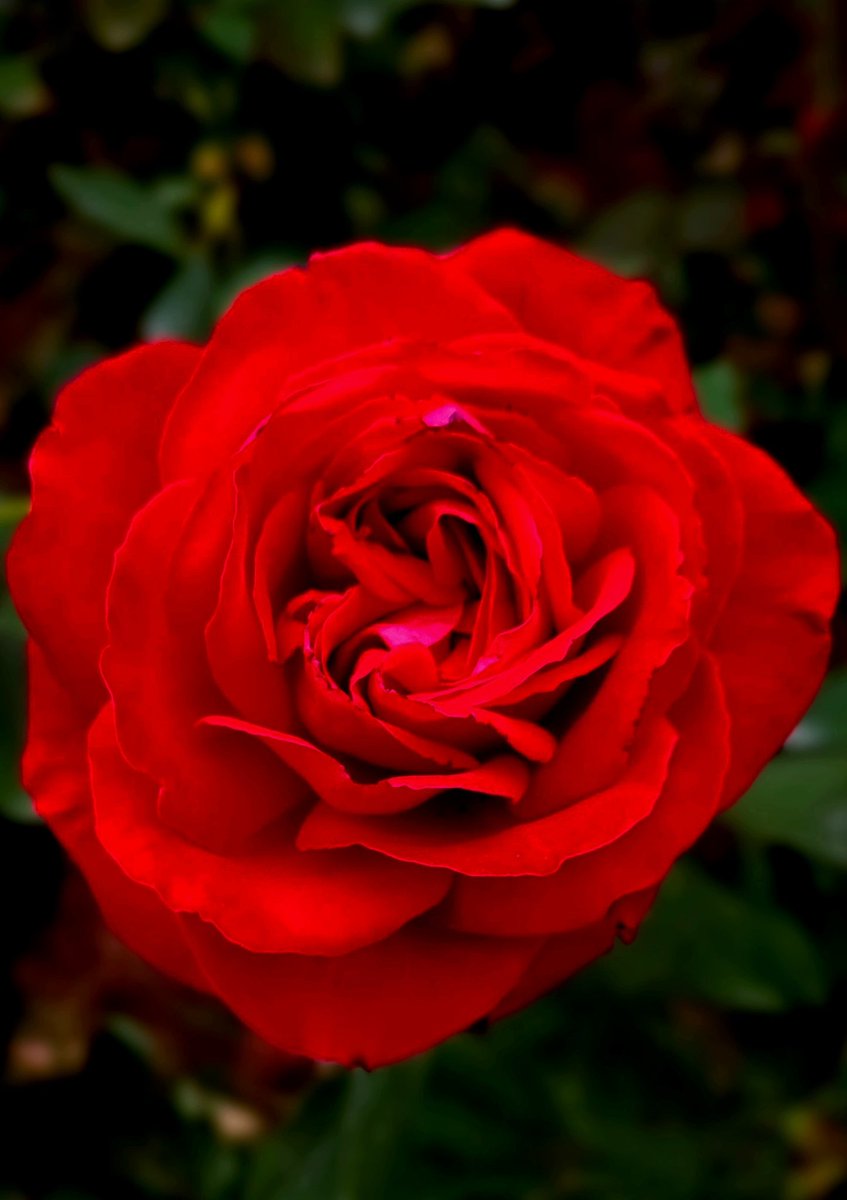 ちゅん (@aebBN6iwx957557) / Posts / X