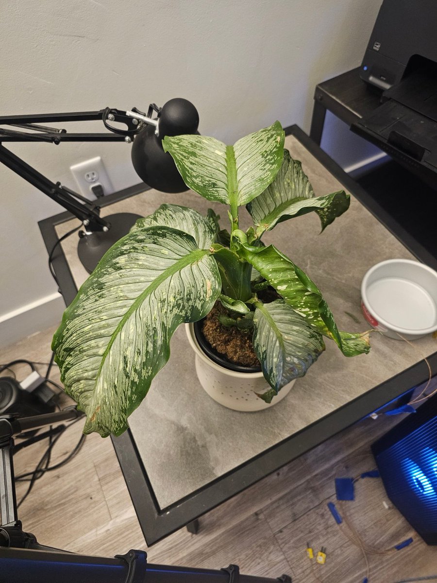 TecPirate's tweet photo. Thermal imaging can detect plant stress before visible symptoms appear.
Healthy: organized oscillations, balanced energy flow Stressed: dissolution dominates, rhythm lost Recovering: desperate rebuilding, coordination gone
The math is the same whether it's a plant, a weld, or a crystal. Differences that persist.
