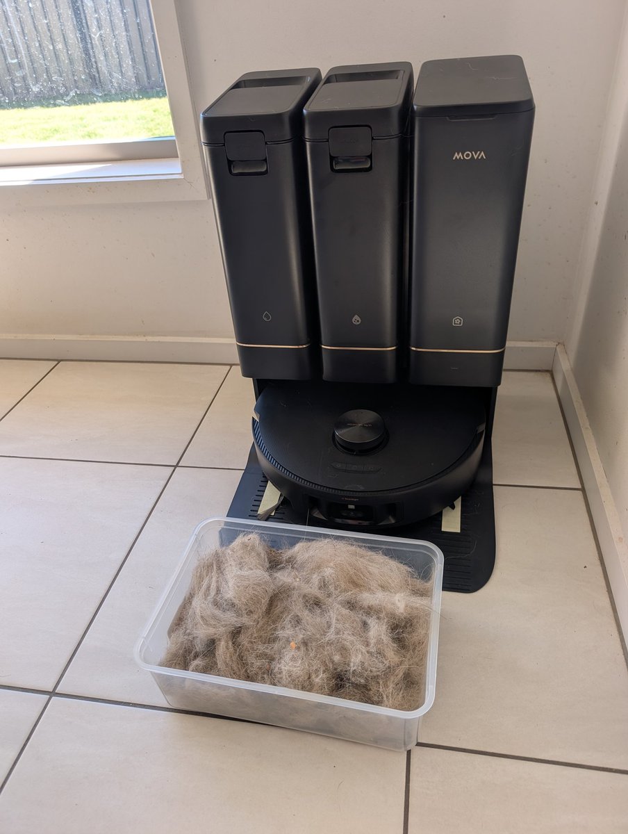 🐾 Shepsky tweet media