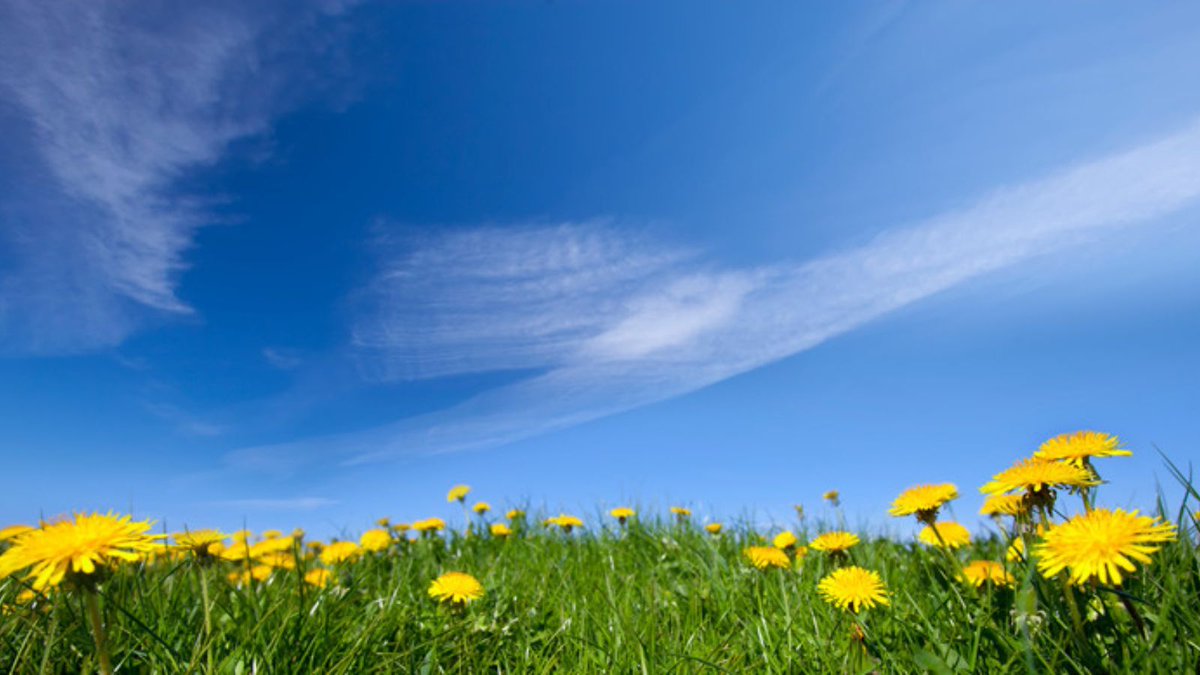 Lydiate Learning Trust tweet media