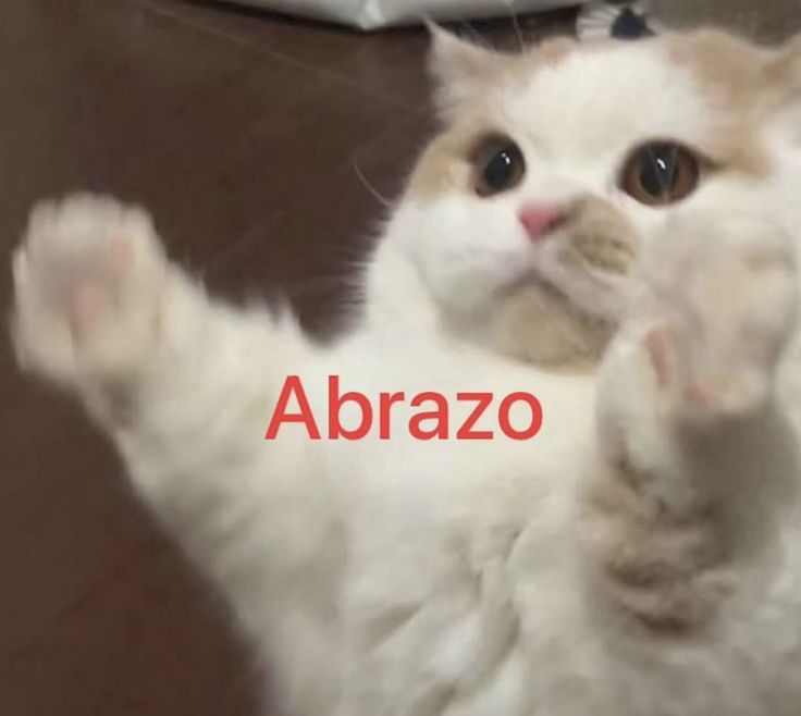 ‍‍ ‍ ‍ ‍ ‍ ‍‍ ‍ ‍ ‍ ‍𝓛꩜꩜𝑵𝑰𝑬 𝓣꩜꩜𝑵𝑰𝑬 tweet media