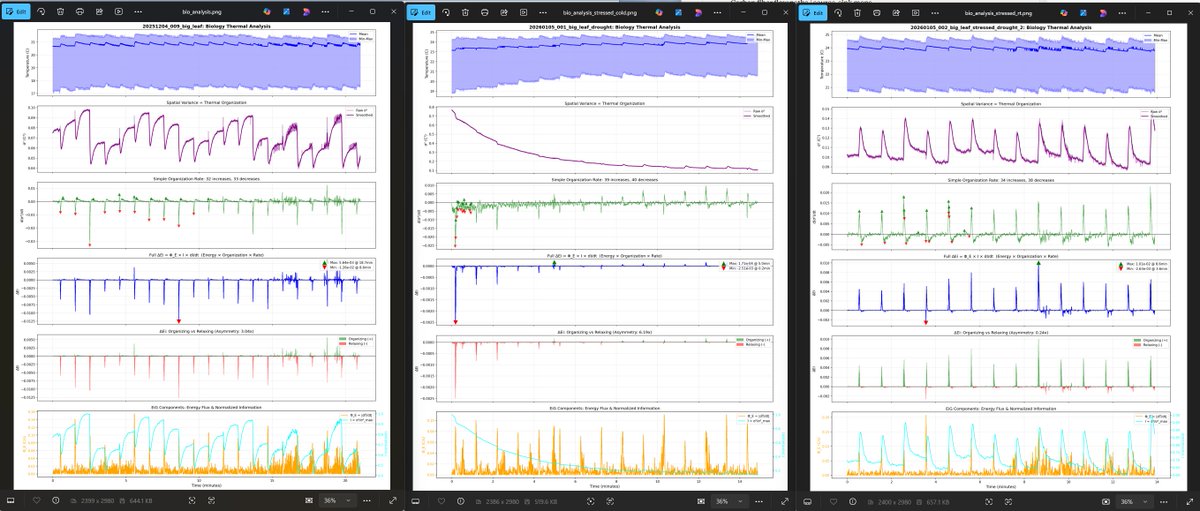 TecPirate's tweet photo. Thermal imaging can detect plant stress before visible symptoms appear.
Healthy: organized oscillations, balanced energy flow Stressed: dissolution dominates, rhythm lost Recovering: desperate rebuilding, coordination gone
The math is the same whether it's a plant, a weld, or a crystal. Differences that persist.