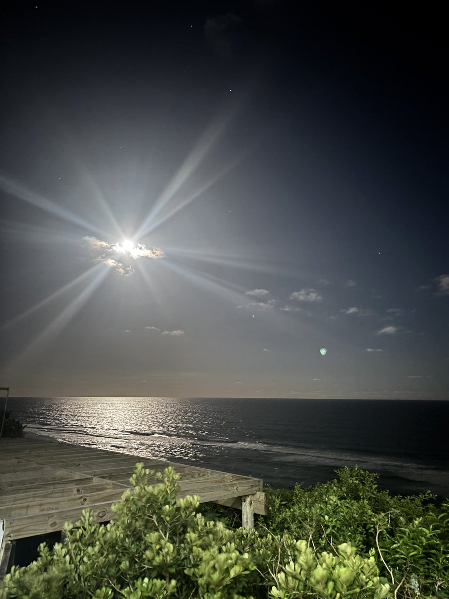 Lennon_Rodney's tweet image. - December 2025, wrapped up ✨