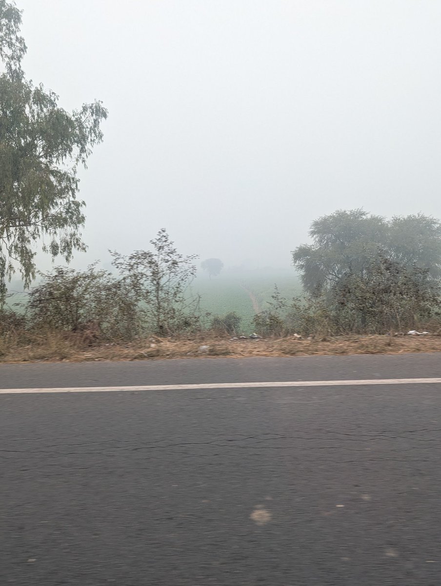 AliceInDisarray's tweet image. You'd think India could keep the top tourism city, agra, where the taj mahal is, free of pollution. I feel like I can barely breathe here without coughing.