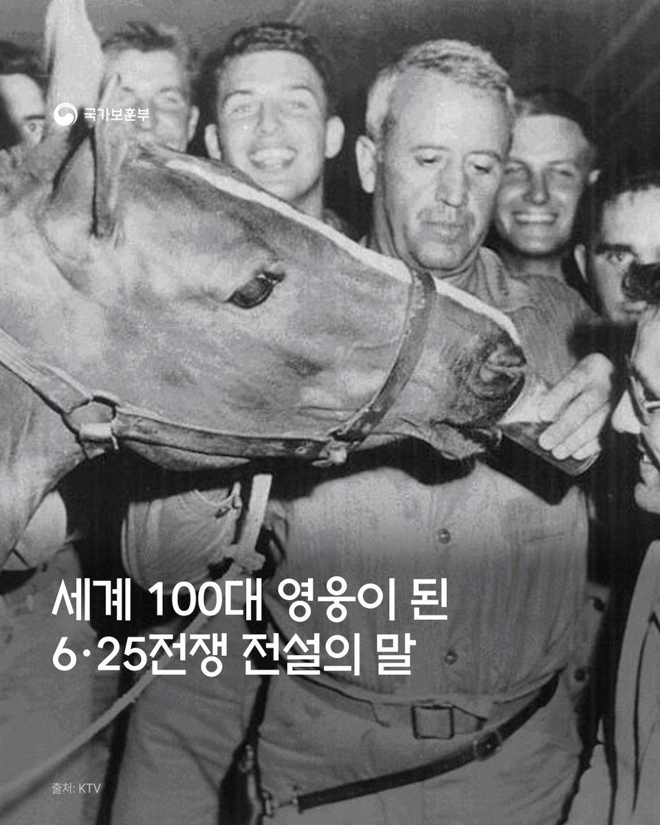 美 해병의 전설이 된 6·25전쟁 군마, 레클리스🐴

2026년 병오년(丙午年), 붉은 말의 해를 맞아 꼭 기억해야 할 영웅이 있습니다.

6·25전쟁 당시 총알이 빗발치는 전장에서 탄약과 무기를 실어나르며 임무를 훌륭히 수행 해낸 군마, '레클리스'입니다.

자세히 보기👉instagram.com/p/DTKPuWLEx50/…