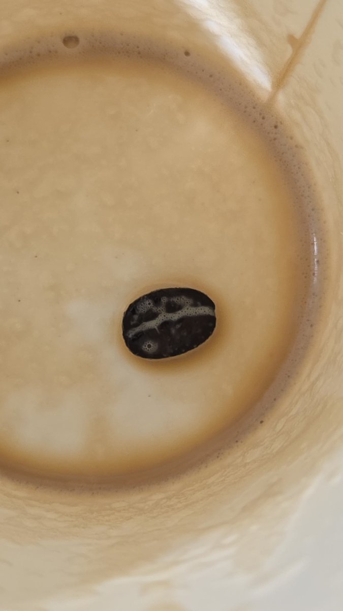 DoubleDutch_Dan's tweet photo. When you treat yourself to an early morning coffee from @McDonaldsUK and they try to end you with a coffee bean 🤦‍♂️😱 https://t.co/n8nWillS7d