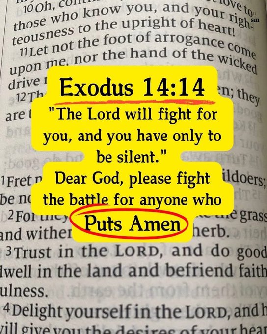 Bible365_'s tweet image. 