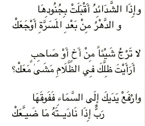بيت شعر عربي كل يوم (@arabicpoet0) on Twitter photo 