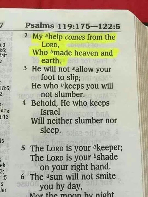 Bible 365 tweet media