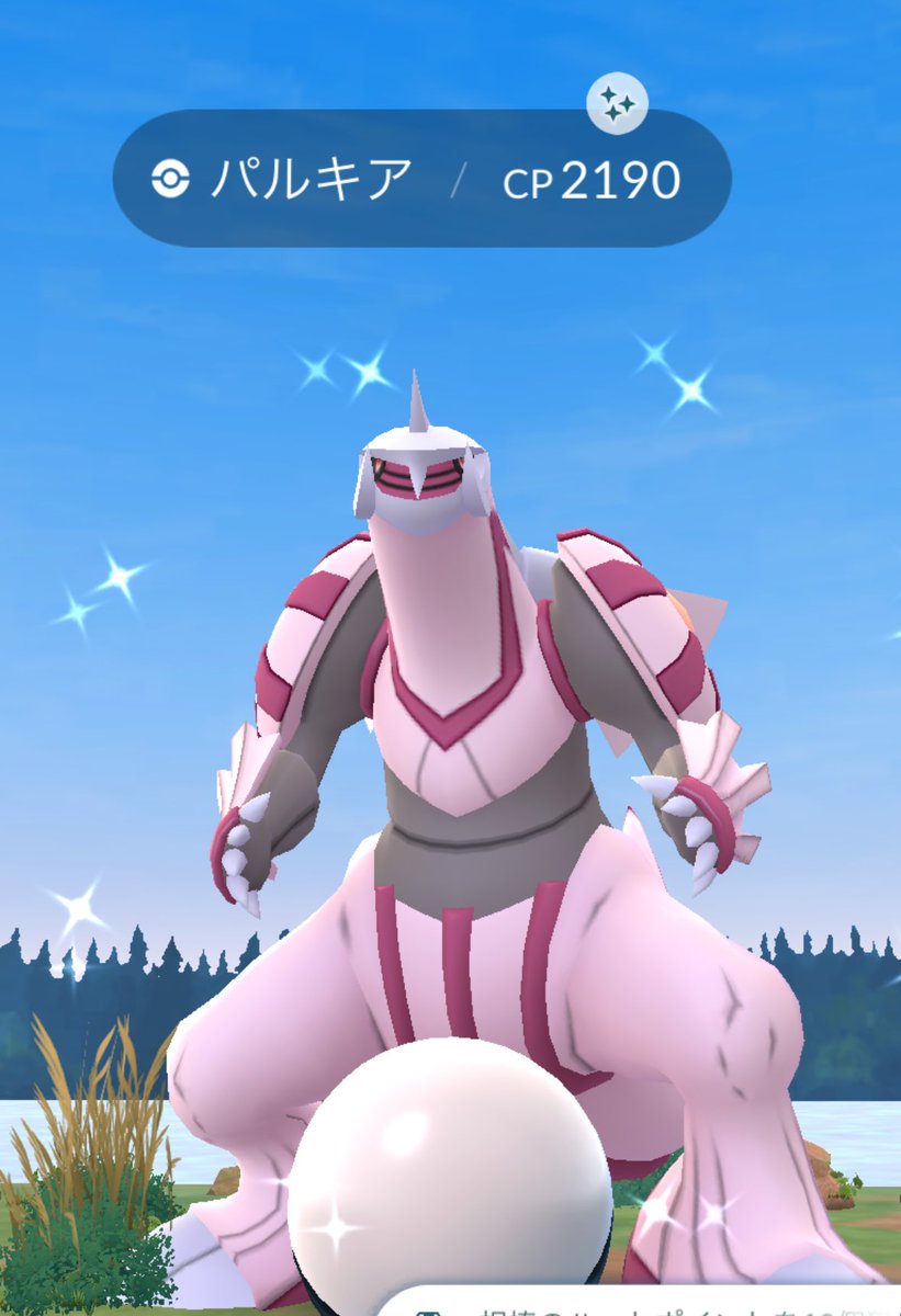 イエヤス様 リヤピカくん ｜パーツ・用品・自転車商品｜㈱サギサカ