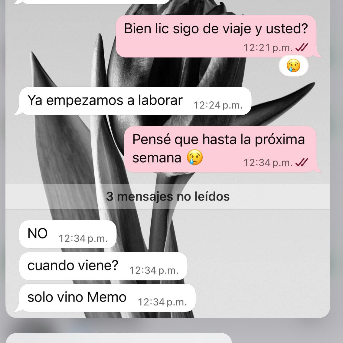 Ni q me pagaran verguita