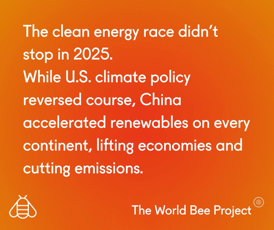 The World Bee Project CIC tweet media